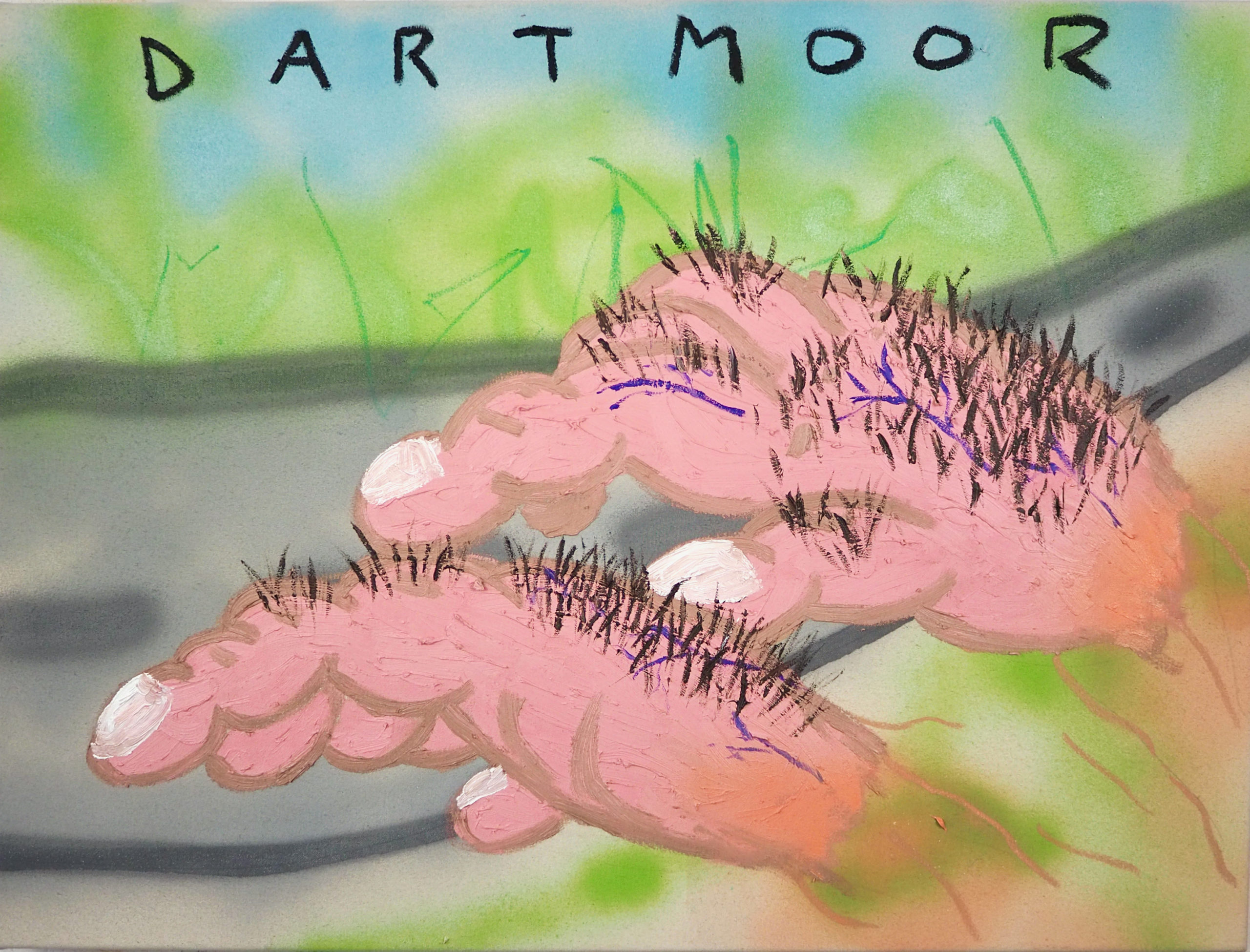 The Hairy Hands of Dartmoor
